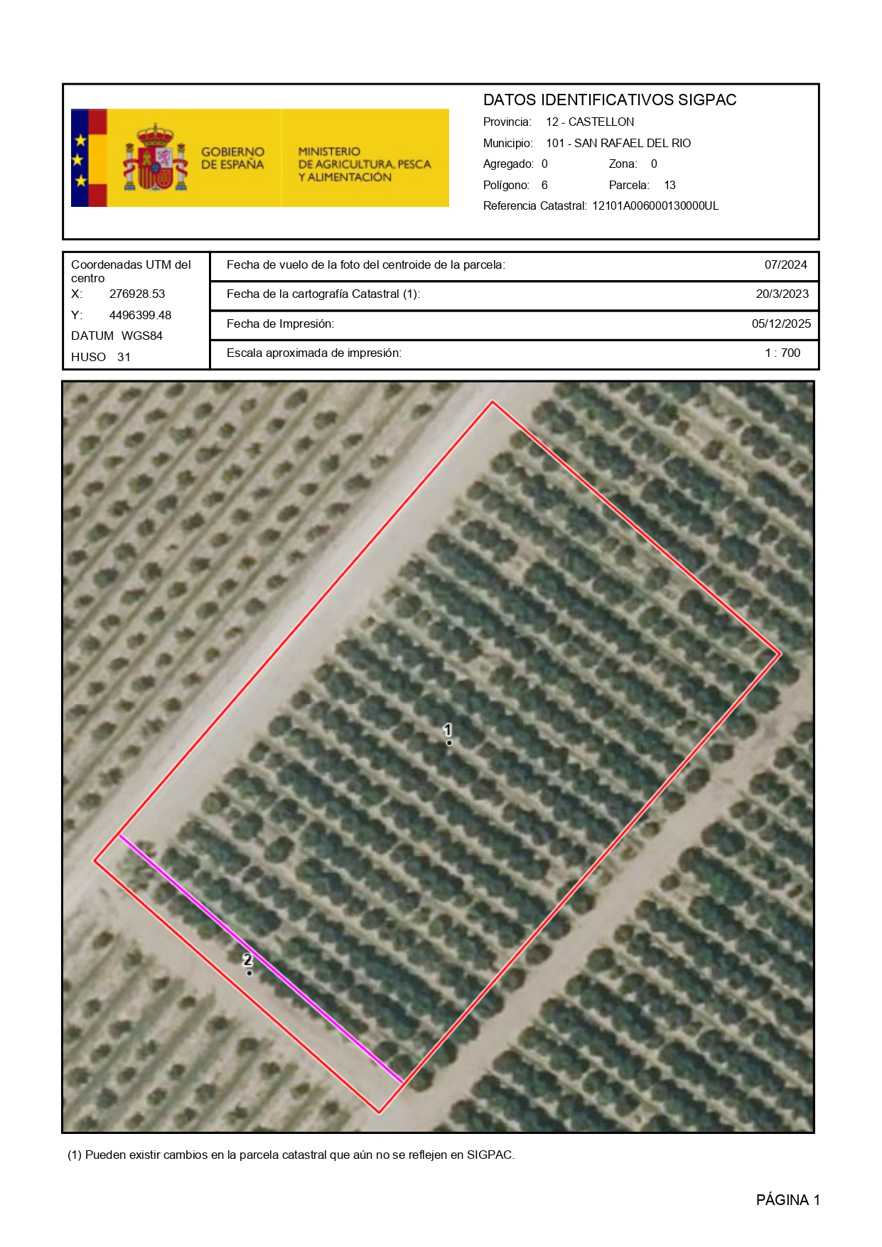 Venta del 100% del pleno dominio de finca rústica agrícola en San Rafael del Río (Castellón) – Polígono 6, Parcelas 35 y 13