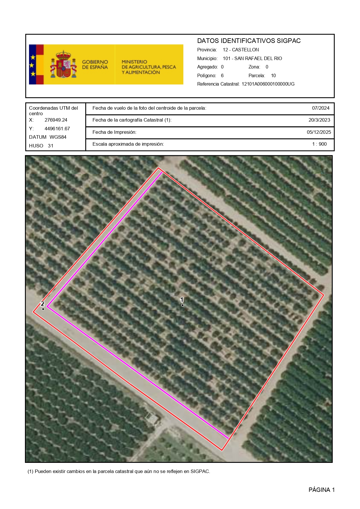 Venta del 100% del pleno dominio de finca rústica de cítricos en San Rafael del Río (Castellón) – Polígono 6 Parcela 10