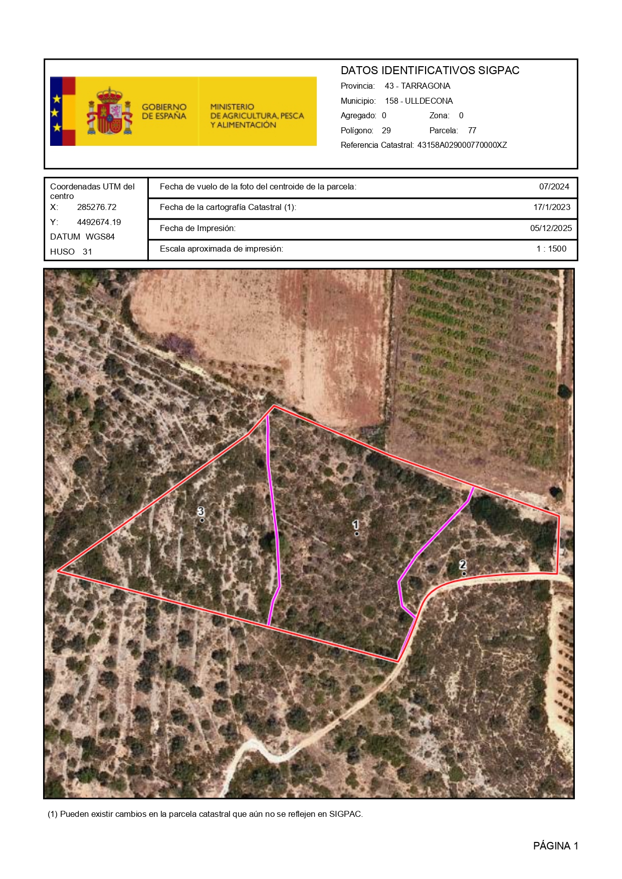 Venta del 100% del pleno dominio de finca rústica en Ulldecona (Tarragona) – Polígono 29 Parcela 77