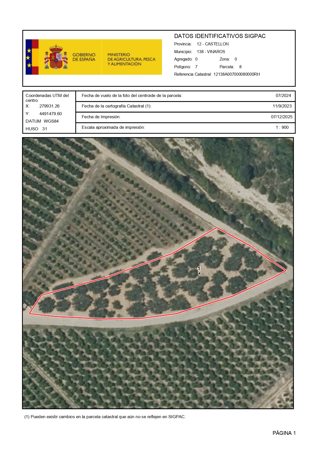 Venta del 50% + 50% = 100% de pleno dominio de finca rústica de Olivos en Vinaròs (Castellón) - Polígono 7 – Parcela 8