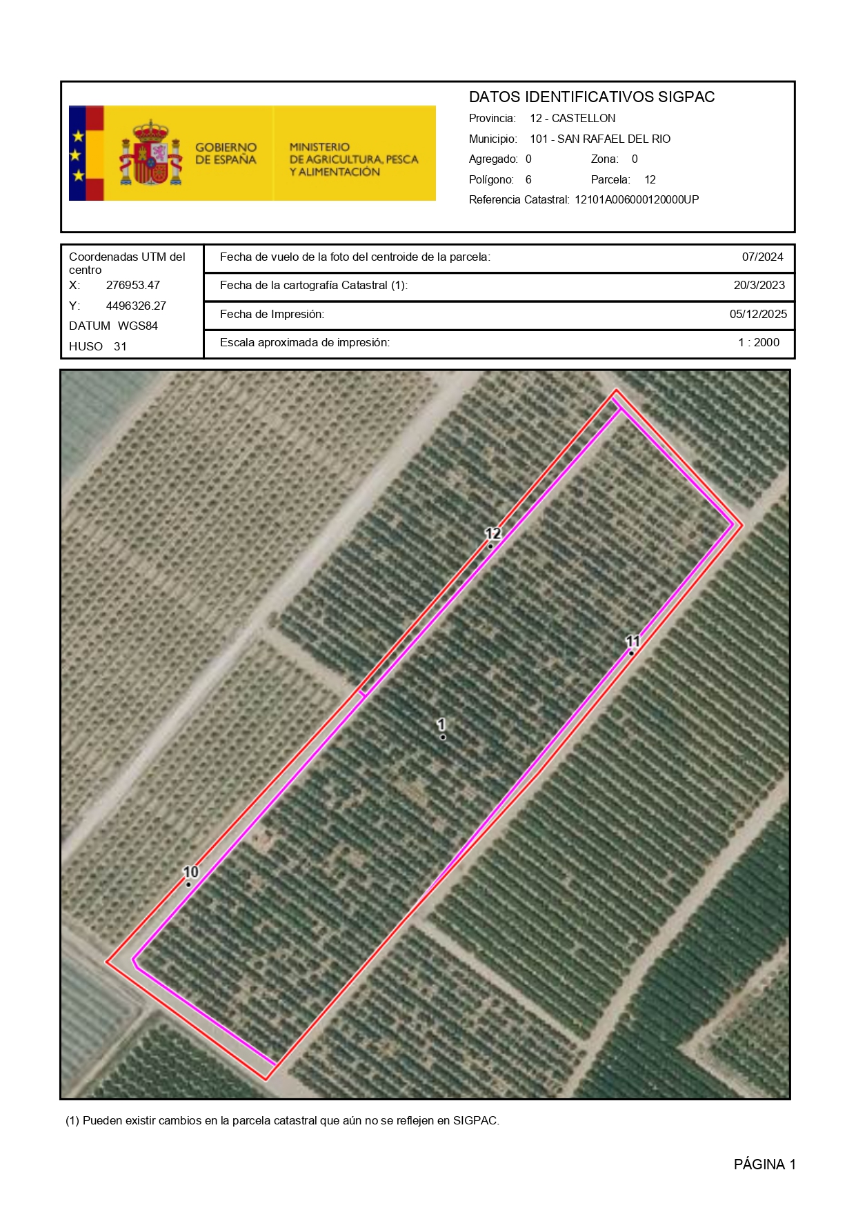 Venta del 100% del pleno dominio de finca rústica de cítricos en San Rafael del Río (Castellón) – Polígono 6 Parcela 12